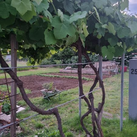 Apartman Dasa Fiume Kültér fotó