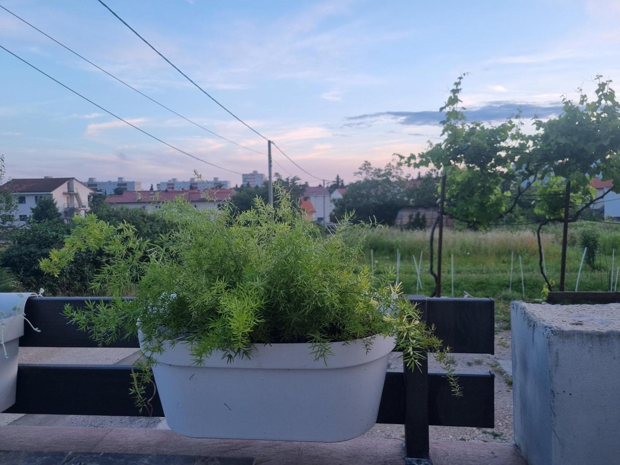 Apartman Dasa Fiume Kültér fotó